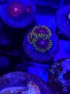 20221214_175944.jpg