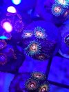 20221214_175848.jpg