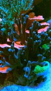 8E80AC38-C3FA-44B3-A09A-3BEBC5956E21.jpeg