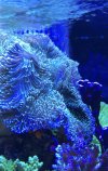 F0000621-0A2B-475C-9171-834B9F84AB59.jpeg