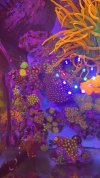 4C75313D-3B20-4ED2-B74E-91F0C1B6FC41.jpeg