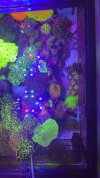 7D5AC372-907A-44F2-AE7D-C3D0ED0AB073.jpeg
