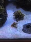 E7BCDF95-B48E-42BB-8731-4F1C0EF32FAF.jpeg
