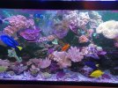 20230106_170520.jpg