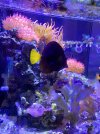 C32335CA-A02E-4038-9D46-79F0688F365D.jpeg