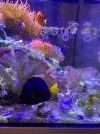 3590D468-D3D5-49B1-9DD7-8F83A58B07B1.jpeg