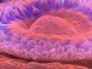 478394CC-D4F5-4BCE-96E5-A13B73A8554D.jpeg