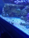 20230111_185342.jpg