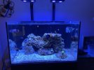 IMG_5785.jpeg