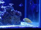 20230118_190524.jpg