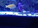 20230118_190515.jpg