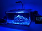 Aquarium.jpg