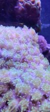 IMG_20230127_171549.jpg