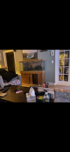 23588261-BCB2-445A-9A61-3D717662AD07.png