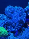 20210420_190202.jpg