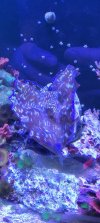 20230218_170455.jpg