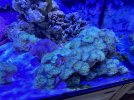 C888E8F8-3025-46BC-9DB7-00A166EEA880.jpeg