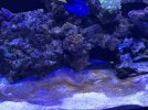 76F69703-6643-4380-B060-7DDE3DE5E68F.jpeg