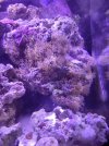 20230303_135545.jpg