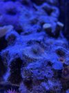 8AB1BC18-B787-4CA1-86C4-0E57F95AA629.jpeg