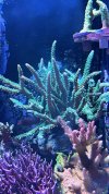 D5251363-4D2E-4454-9094-1AF44C31E7ED.jpeg