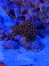 PXL_20230309_202611298_exported_400_1678393636006.jpg