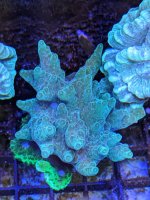 PXL_20230310_222550046 (1).jpg