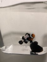 E4CE248D-EAA2-4805-A03A-A1C3FD4416AE.jpeg