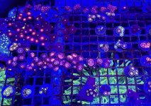 C49C5C0E-CD1F-488F-A6AD-38C53EA309B8.jpeg
