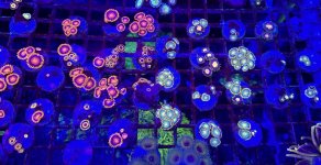 2813D20B-6998-4EF0-89DE-3813C2528C9F.jpeg