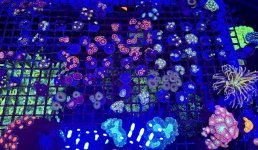 D3456F10-D8E2-4980-86C3-4452F64E64D0.jpeg