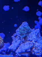 PXL_20230315_165453366.MP.jpg
