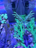 20230310_170724.jpg