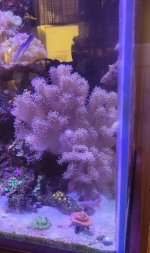 VideoCapture_20230320-200154.jpg