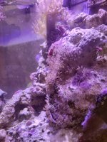 20230318_155020.jpg