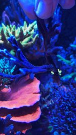 B2CE8CBB-3483-4967-BB41-54CB161B0828.jpeg