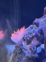 E98FA209-DAE0-4869-9A66-11C23D65EAE8.jpeg