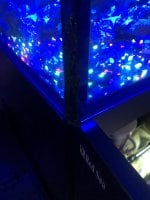7E88D626-7BB3-4C35-8065-CB66E003DE56.jpeg