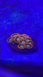 IMG_3420.jpeg