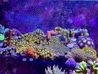 IMG_0395.jpeg