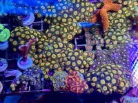IMG_0396.jpeg