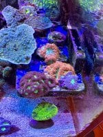 IMG_0408.jpeg