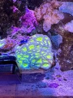IMG_0410.jpeg