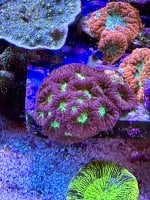 IMG_0411.jpeg