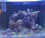 IMG_1449.jpeg