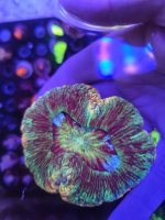 20230330_193432.jpg