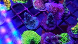 20230407_110706.jpg