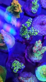 20230407_110851.jpg