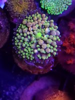 20230405_171138.jpg