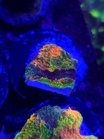 20230404_233155.jpg